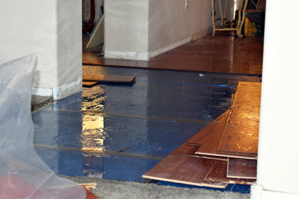 Professional Burst Pipe Cleanup technician working in Oxford, GA